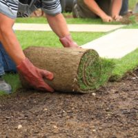 zelfstandige zzp hovenier legt tuin aan en plaatst grasmat